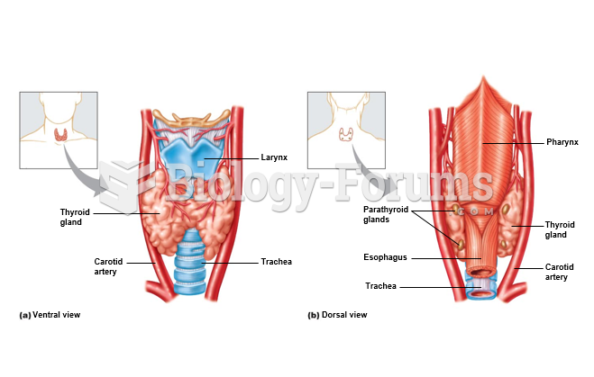 Locations of the thyroid and parathyroid glands.