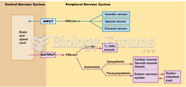 Organization of the nervous system.