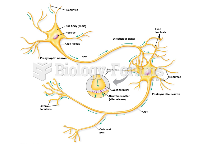 Structure of a typical neuron.