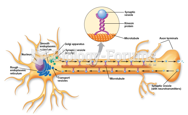 Fast axonal transport of vesicles.