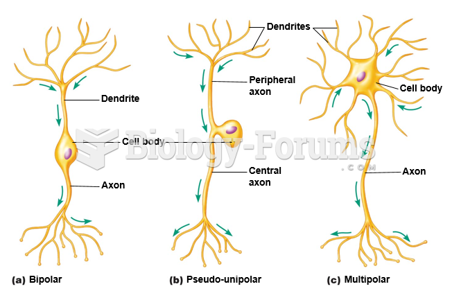 Structural classes of neurons.