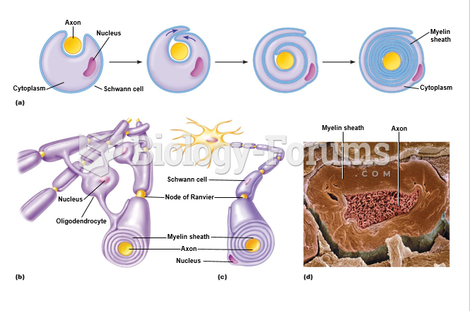 Formation and origins of myelin sheaths.
