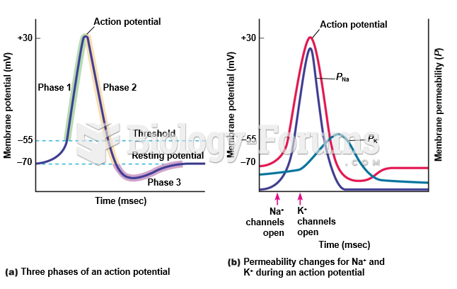 The phases and ionic basis of an action potential.