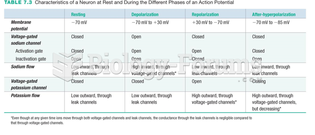 Characteristics of a Neuron at Rest and During the Different Phases of an Action Potential