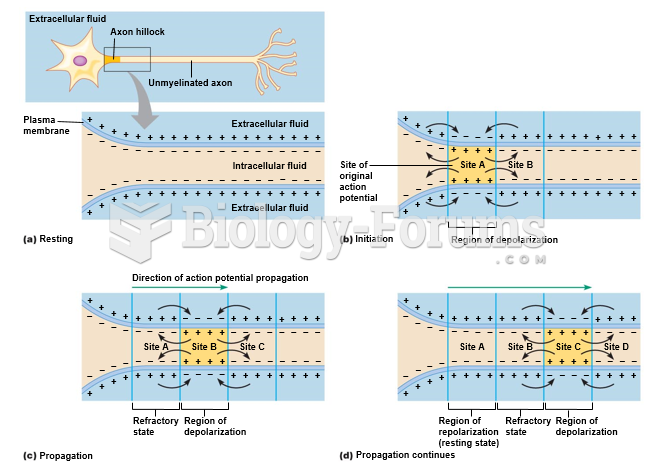 Action potential conduction in unmyelinated axons.