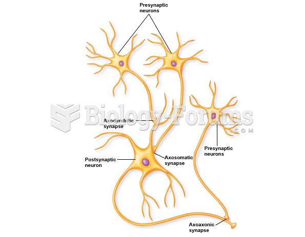 Neuron-to-neuron chemical synapses.