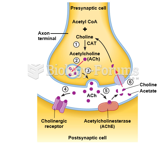 Neurotransmitter synthesis, action, and degradation at cholinergic synapses.