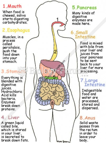 Food Digestion Steps