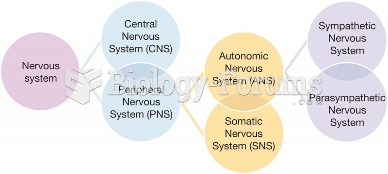 Components of the nervous system.