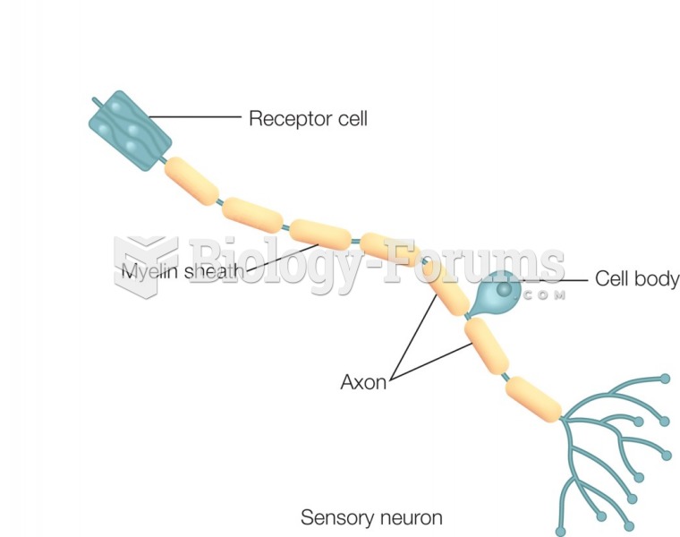 A sensory neuron.