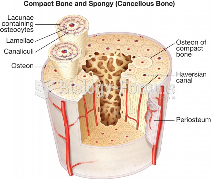 Microscopic components of osseous tissue.