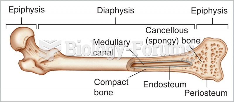 The features found in a long bone.