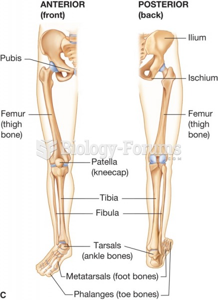 Bones of the lower extremities.
