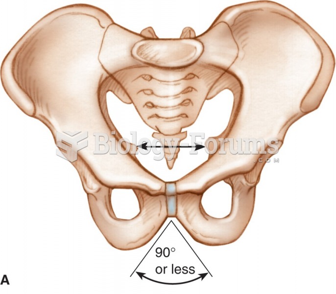 The male pelvis.