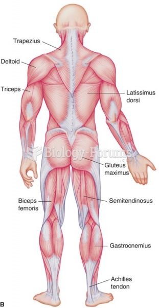 Selected skeletal muscles and the Achilles tendon (posterior view).