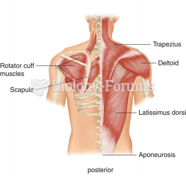 Muscles of the posterior torso that are responsible for arm movements.