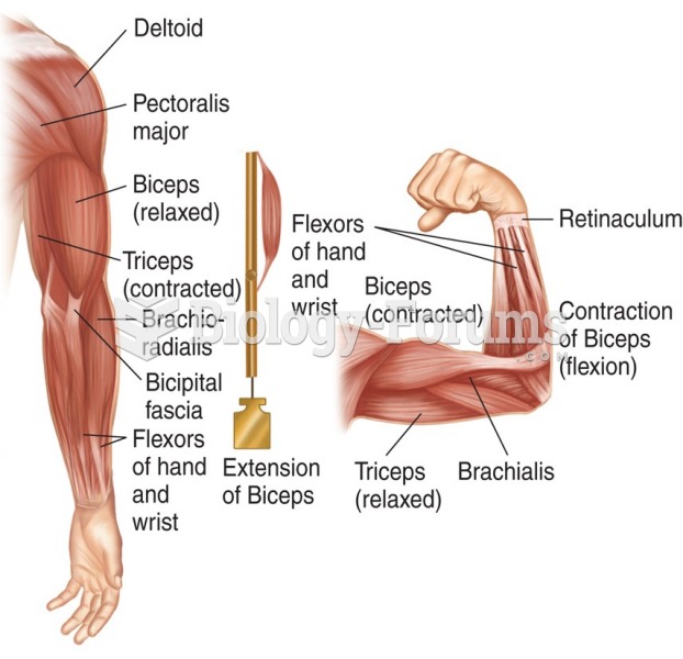 Muscles of the arm and hand.