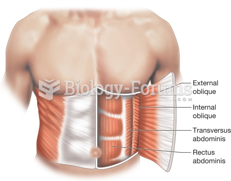 Abdominal muscles.