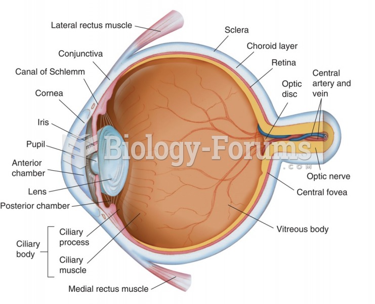 The eyeball and its anatomical structures.