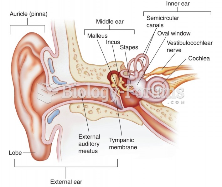 The ear and its anatomical structures.