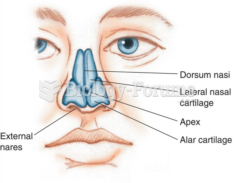 Nasal cartilage and external structures.