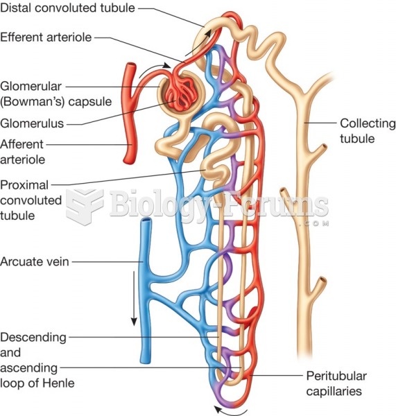 The structure of a nephron.
