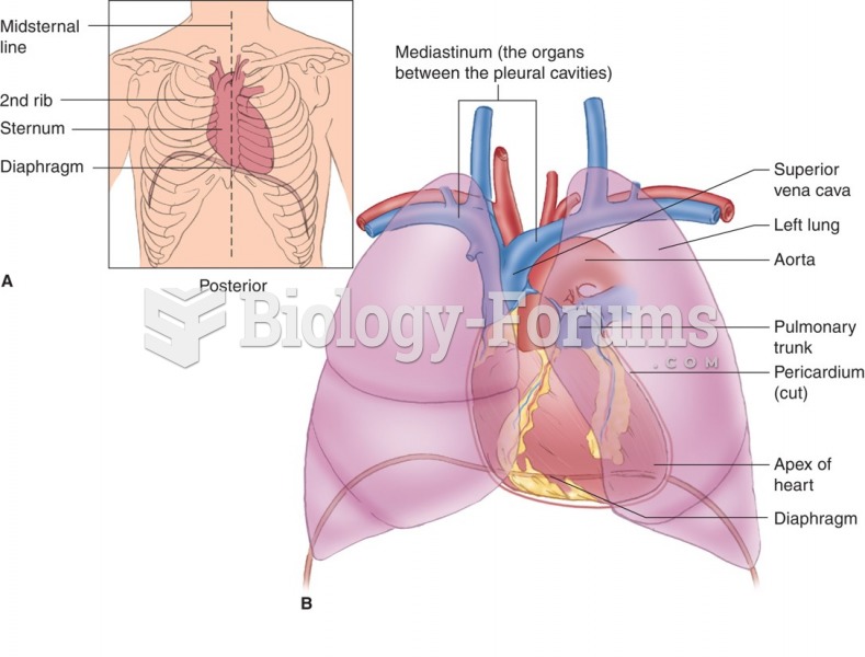 Location of the heart in the chest cavity.