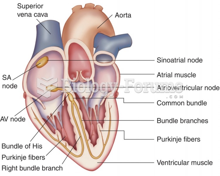 The conduction system of the heart.