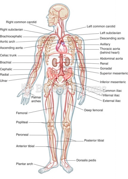 An overview of the arterial system.