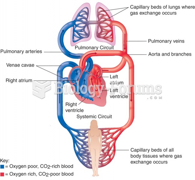 Systemic and pulmonary circulation.
