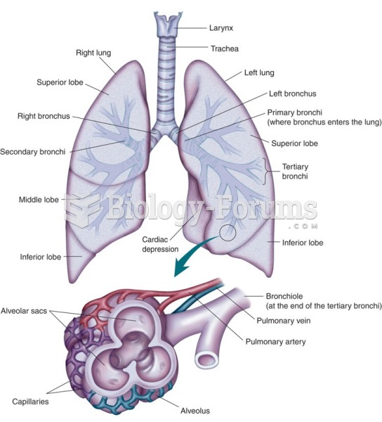 The larynx, trachea, bronchi, and lungs with an expanded view showing the structures of the alveolus ...