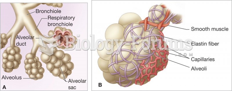 A) Alveolar sac; (B) alveoli with capillaries.