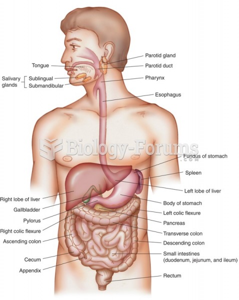 The digestive system.