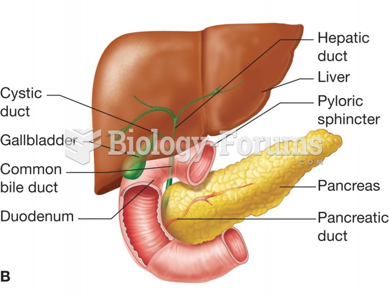 Gallbladder, liver, and pancreas.