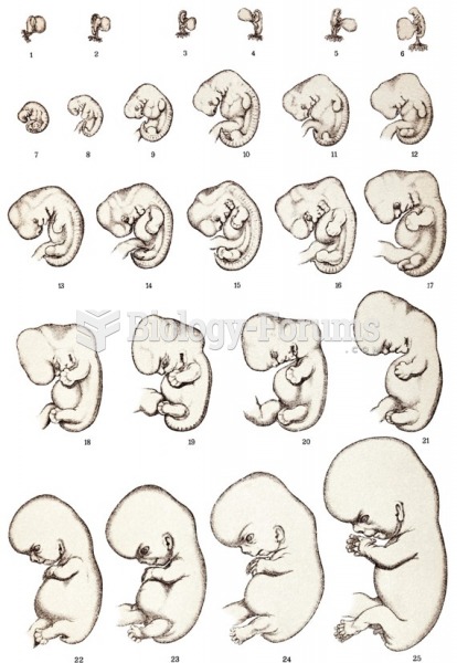Embryo and fetal development during weeks 1–25 of gestation. 