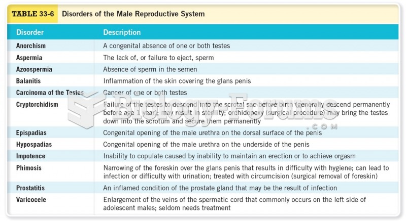 Disorders of the Male Reproductive System 