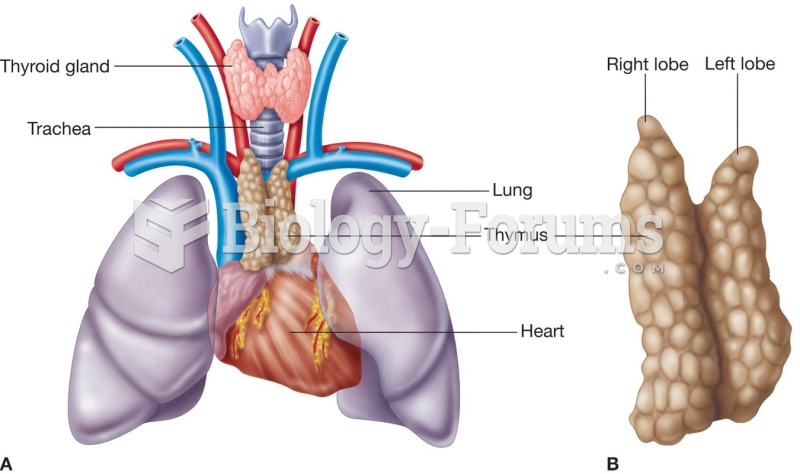 The thymus gland (A) appearance and position and (B) anatomical structures.