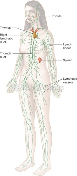 Components of the lymphatic system.