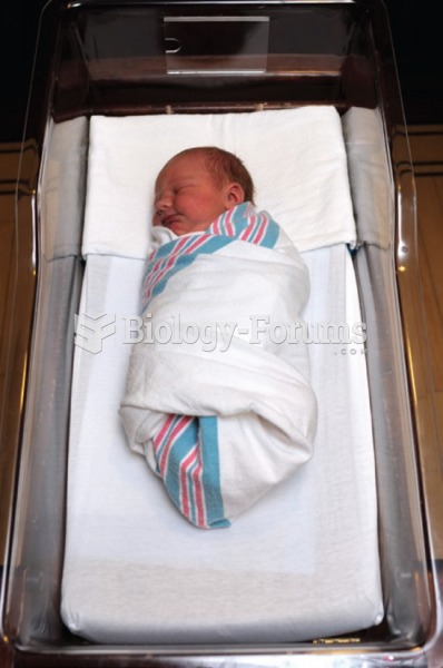 A newborn wrapped, or swaddled. 