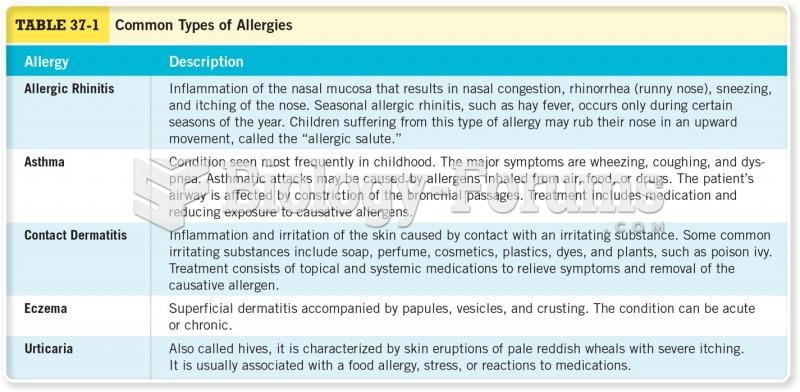 Common Types of Allergies 