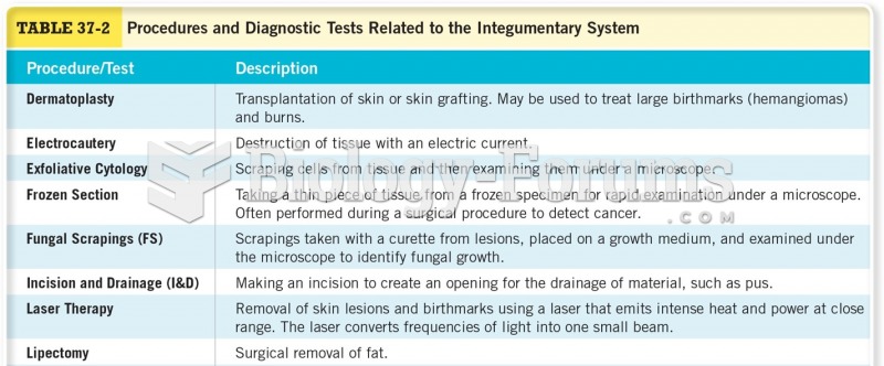 Procedures and Diagnostic Tests Related to the Integumentary System