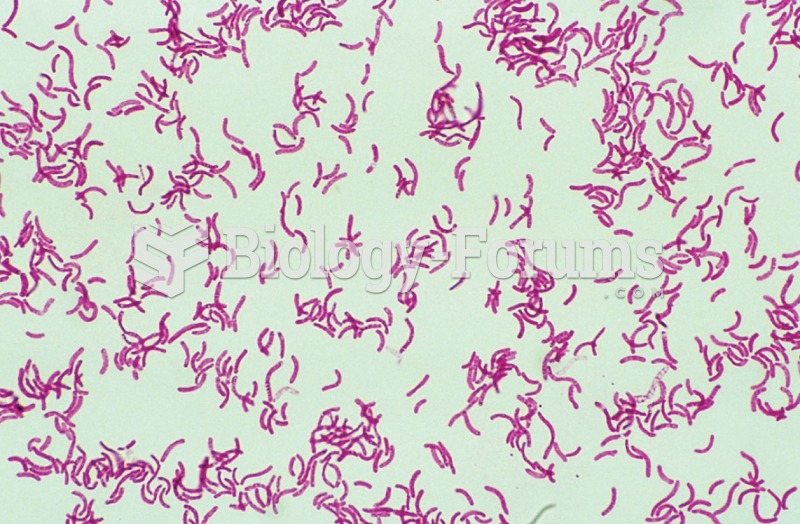 Spirilla bacteria. 