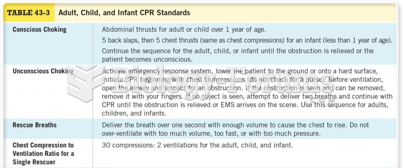 Adult, Child, and Infant CPR Standards