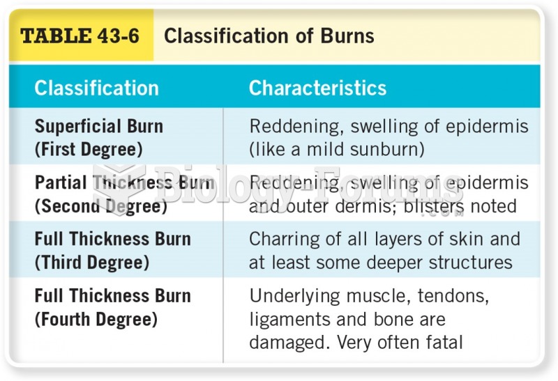 Classification of Burns 
