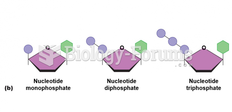 Nucleotides.