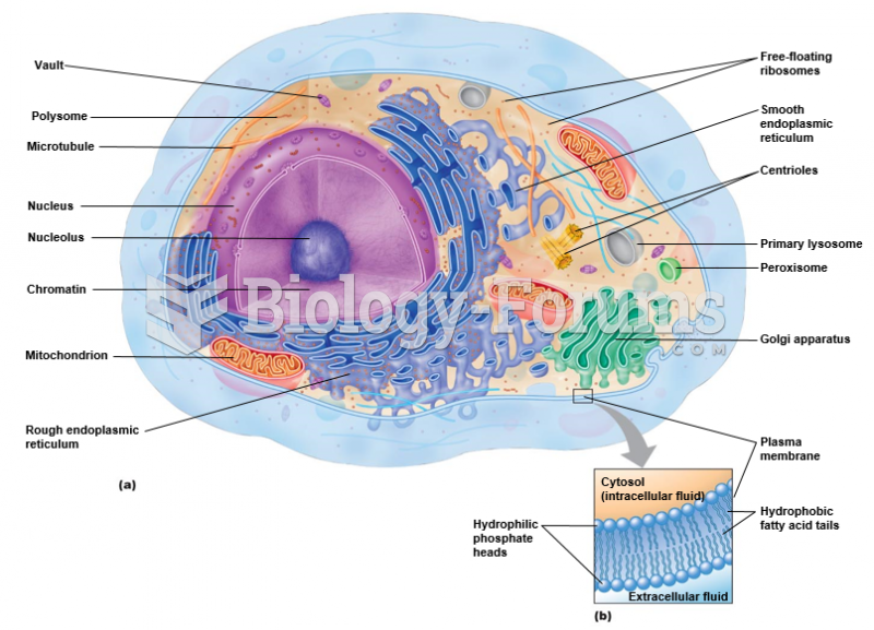 Structures of a typical cell.