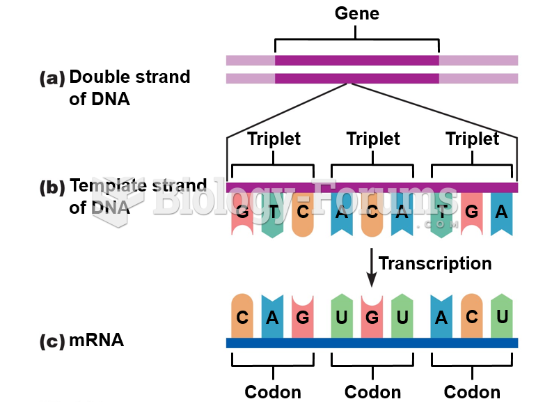 The genetic code.
