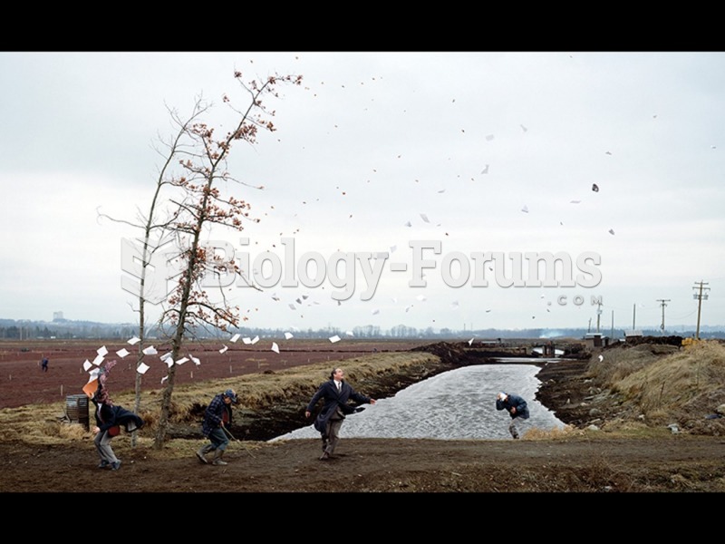 Jeff Wall, A Sudden Gust of Wind (After Hokusai).