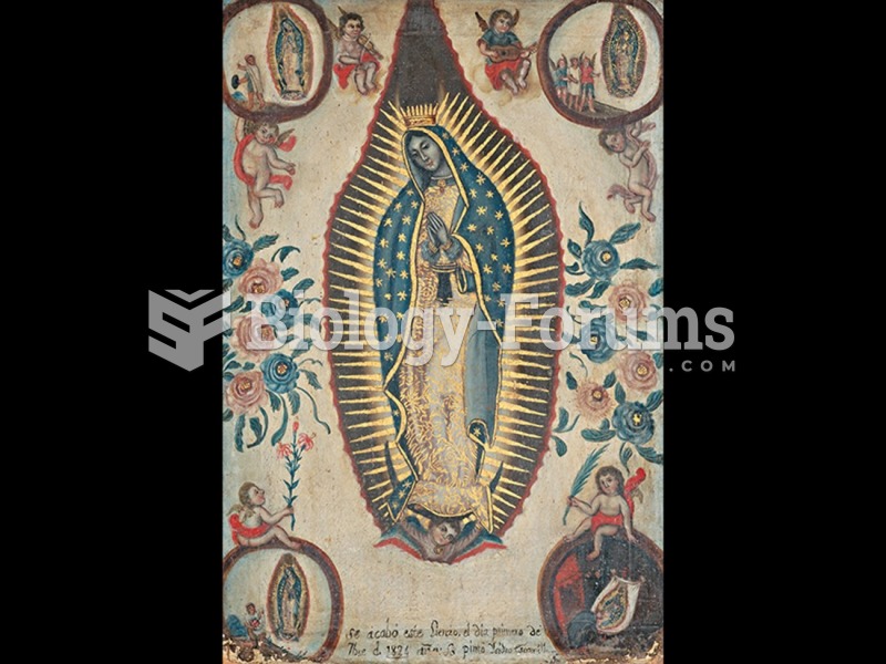 Isidro Escamilla, Virgin of Guadalupe. 