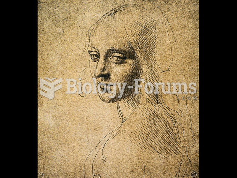 Leonardo da Vinci, Study of a Woman's Head or of the Angel of the Vergine delle Rocce. 